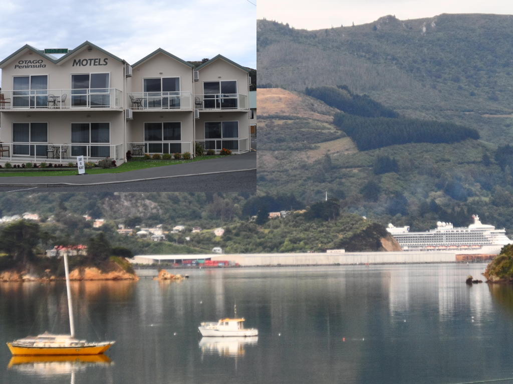 Otago Peninsula Motel Portobello Esterno foto